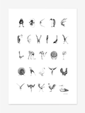 Bird alphabet –  English/ Danish & Norweigan